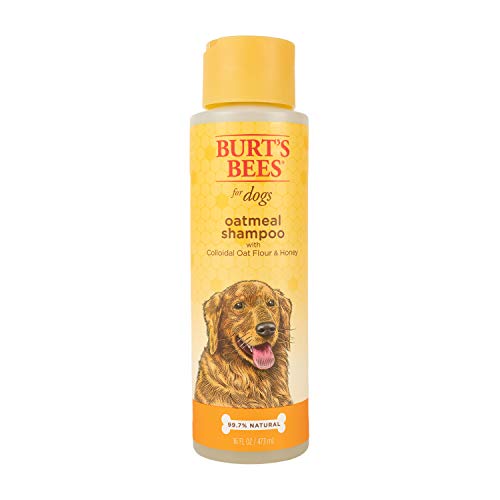 Burt's Bees for Pets Oatmeal Dog Shampoo | With Colloidal Oat Flour & Honey | Moisturizing & Nourishing, Cruelty Free, Sulfate & Paraben Free, pH Balanced for Dogs - Made in USA, 16 Oz