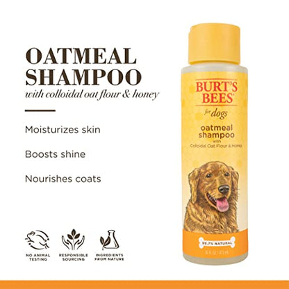 Burt's Bees for Pets Oatmeal Dog Shampoo | With Colloidal Oat Flour & Honey | Moisturizing & Nourishing, Cruelty Free, Sulfate & Paraben Free, pH Balanced for Dogs - Made in USA, 16 Oz