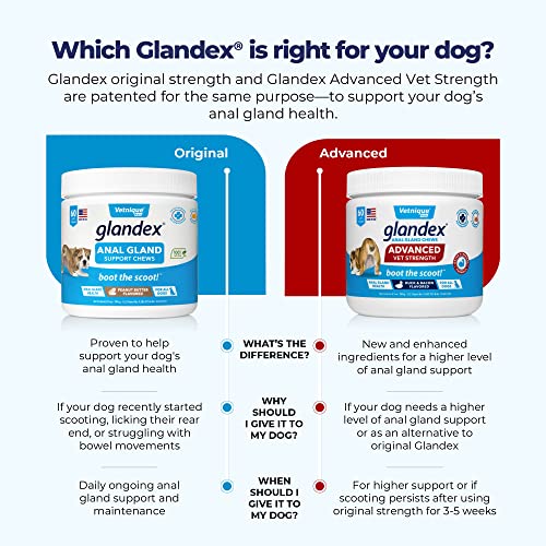 Glandex Anal Gland Soft Chew Treats with Pumpkin for Dogs Digestive Enzymes, Probiotics Fiber Supplement for Dogs Boot The Scoot (Advanced Strength Duck/Bacon Chews (Vegetarian), 120ct)