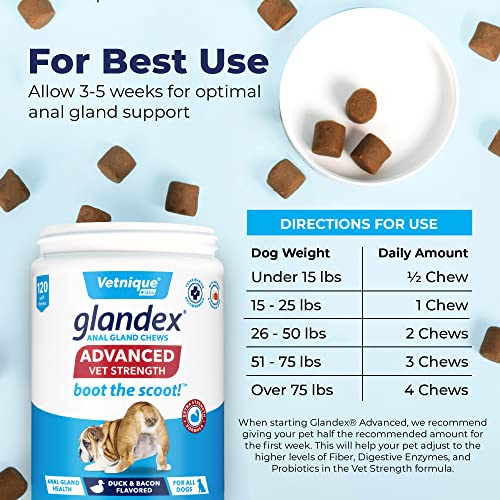 Glandex Anal Gland Soft Chew Treats with Pumpkin for Dogs Digestive Enzymes, Probiotics Fiber Supplement for Dogs Boot The Scoot (Advanced Strength Duck/Bacon Chews (Vegetarian), 120ct)