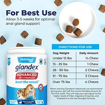 Glandex Anal Gland Soft Chew Treats with Pumpkin for Dogs Digestive Enzymes, Probiotics Fiber Supplement for Dogs Boot The Scoot (Advanced Strength Duck/Bacon Chews (Vegetarian), 120ct)