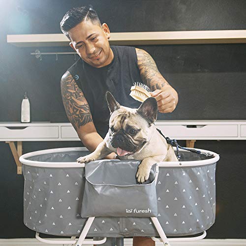 Furesh Insider Dog Bath Tub and Wash Station for Bathing Shower and Grooming, Elevated Foldable and Portable, Indoor and Outdoor, for Small and Medium Size Dogs, Cats and Other Pet (Gray)