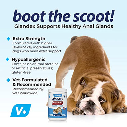 Glandex Anal Gland Soft Chew Treats with Pumpkin for Dogs Digestive Enzymes, Probiotics Fiber Supplement for Dogs Boot The Scoot (Advanced Strength Duck/Bacon Chews (Vegetarian), 120ct)